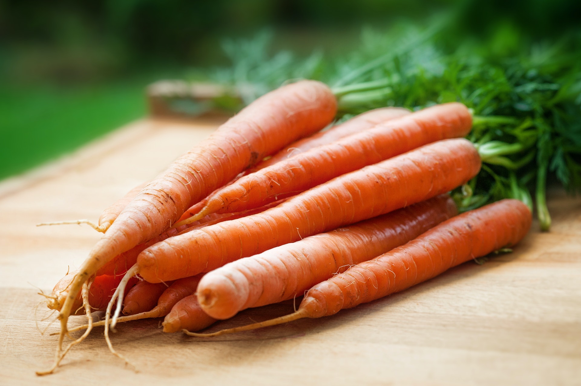 can frenchies eat carrots