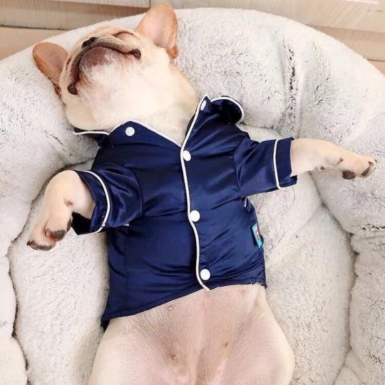Satin French Bulldog Pajamas