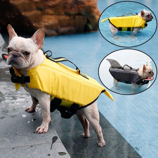 Shark & Clownfish French Bulldog Life Jacket