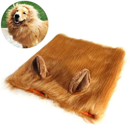 Lion Headgear Frenchie Costume