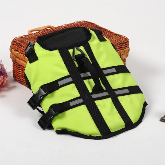 Neon French Bulldog Life Jacket