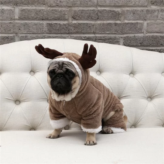 Christmas Frenchie Costume