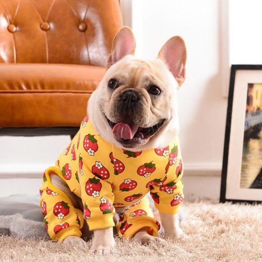 Strawberry French Bulldog Jumpsuit