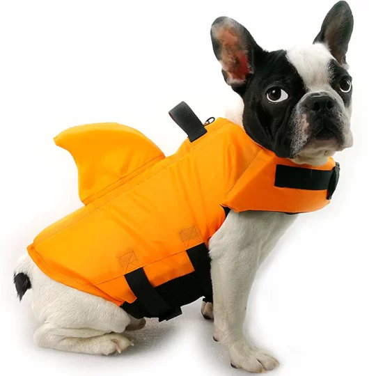 French Bulldog Shark Life Jacket