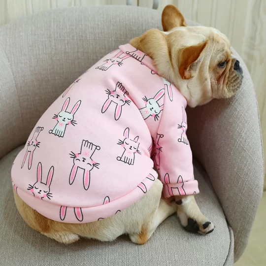 Cute Animal Print Frenchie Sweater Pajama
