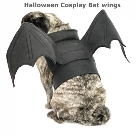 Halloween Bat Wings Frenchie Costume
