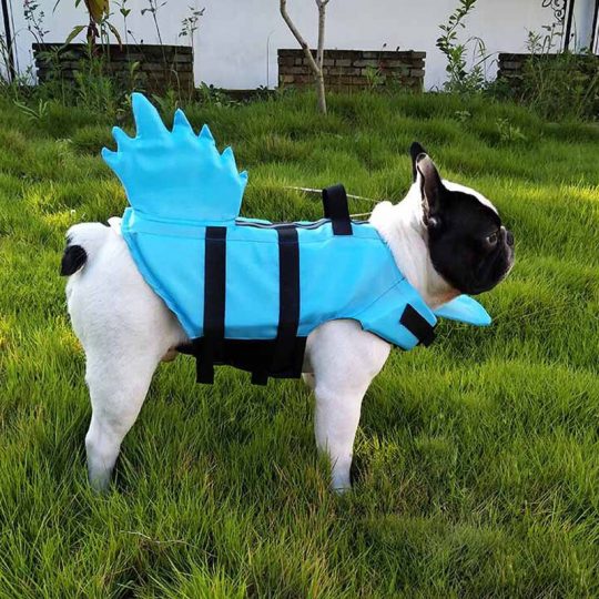 Neon Dragon French Bulldog Life Jacket