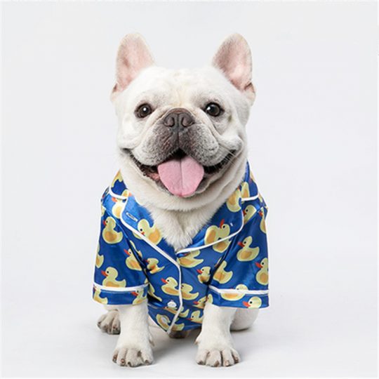 Silky Duck Frenchie Pajamas