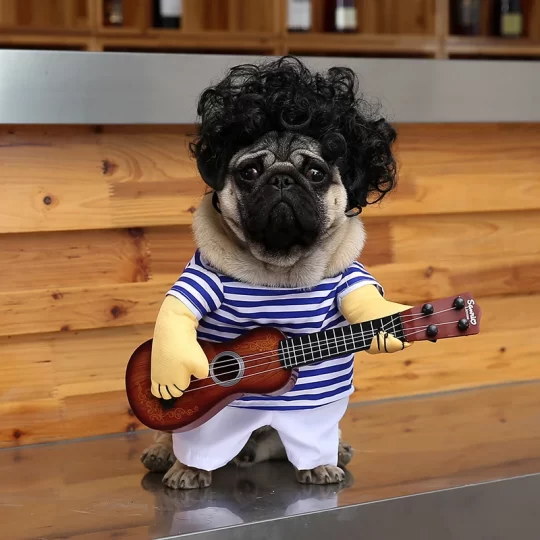 Guitarist Frenchie Costume