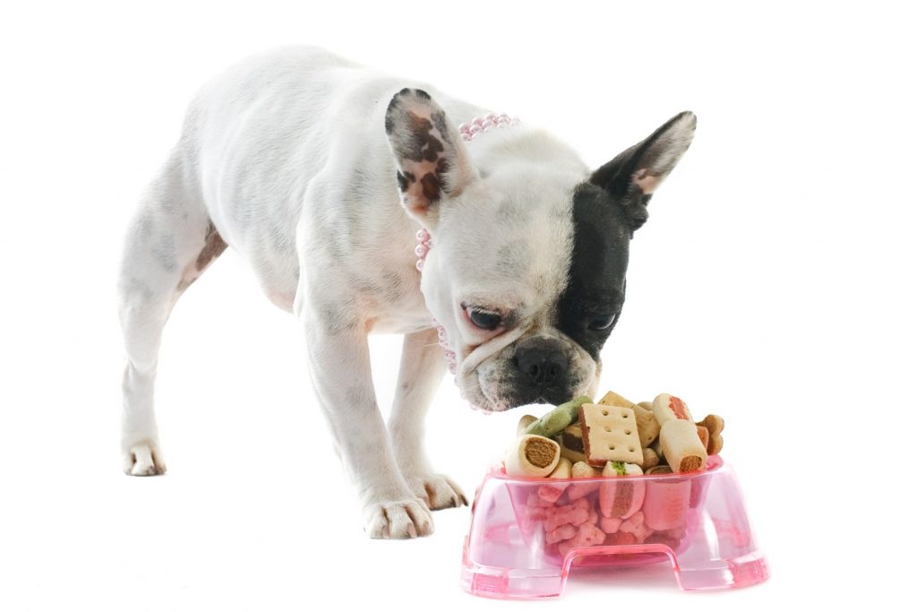 Can French Bulldogs eat meat?