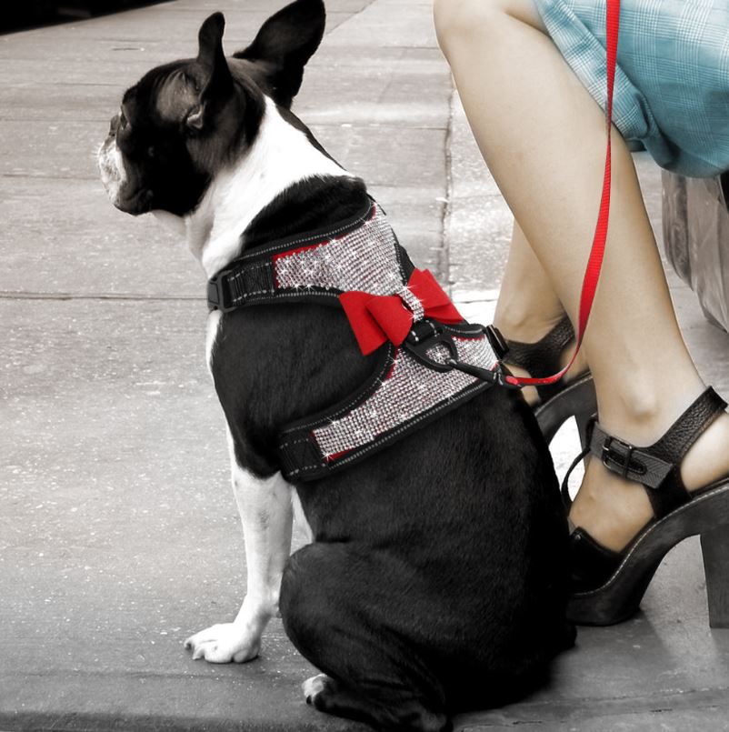 Bow-Rhinestone-French-Bulldog-Harness red