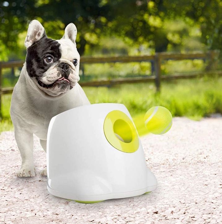 FetchPro Automatic Tennis Ball Launcher