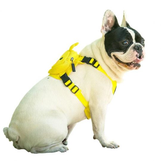French Bulldog Frog Backpack Harness