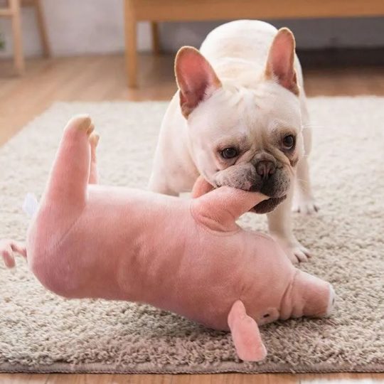 French Bulldog Pig Plush Toy