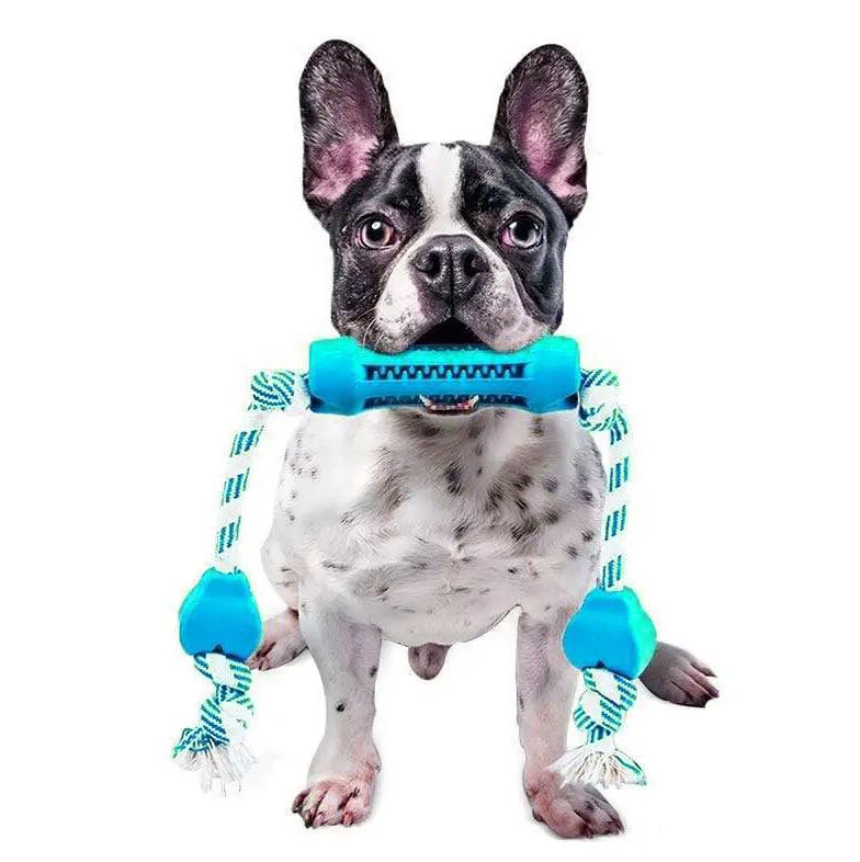 French-Bulldog-Tooth-Cleaning-Chew-Toy