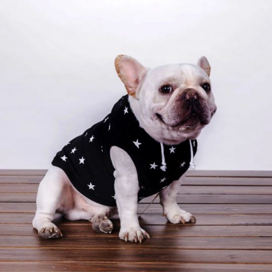French bulldog Stars Hooded Sweatshirt