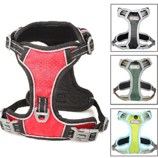 No-Pull Nylon French Bulldog Harness red