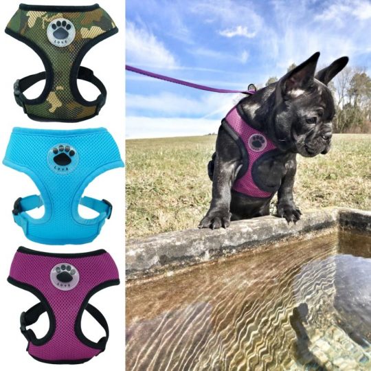 Paw Love French Bulldog Harness