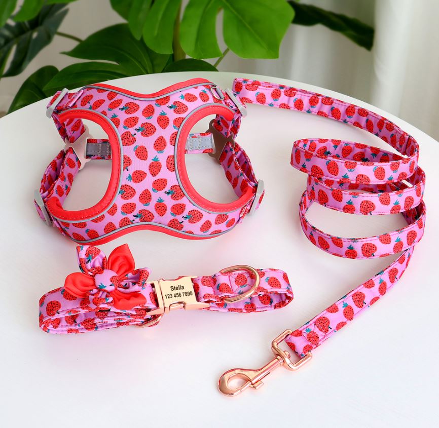Printed Leash Strawberry harness