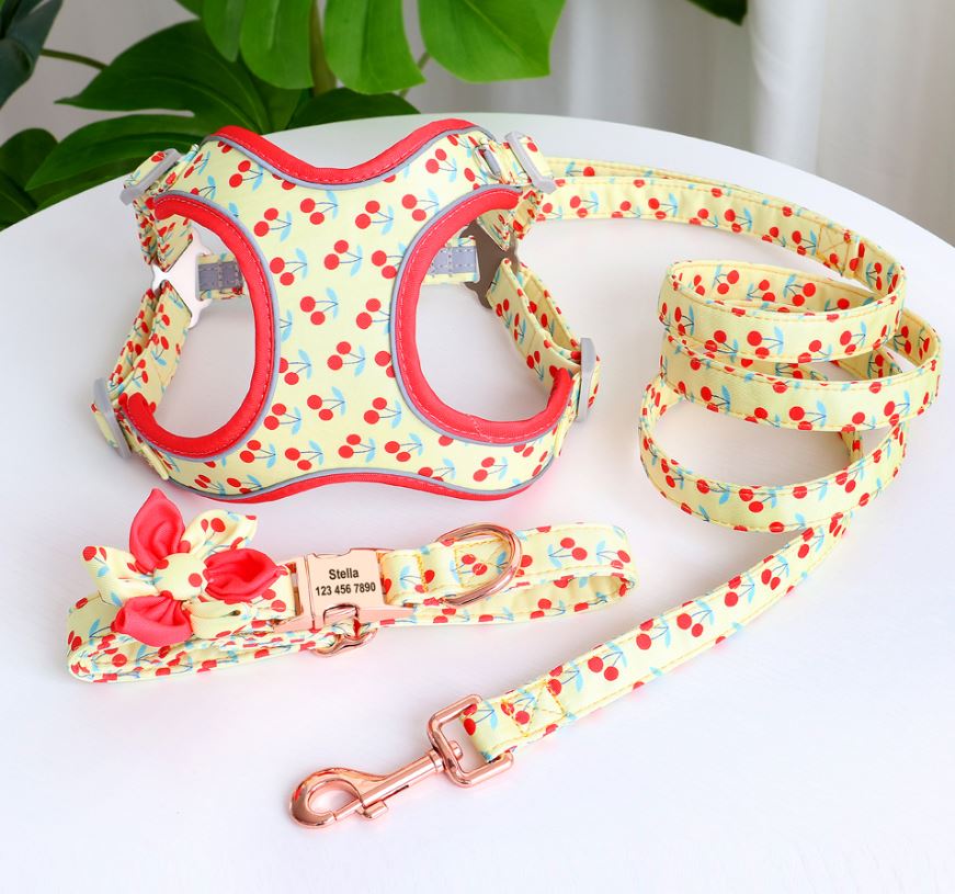 Printed Leash cherry harness