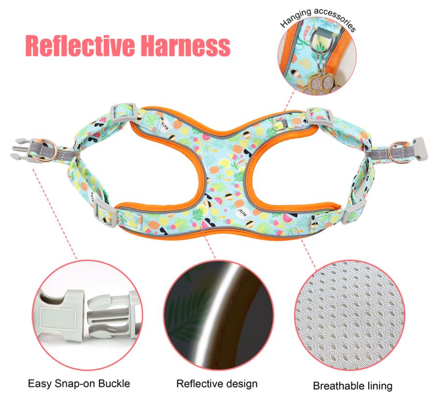 Printed Leash reflective harness