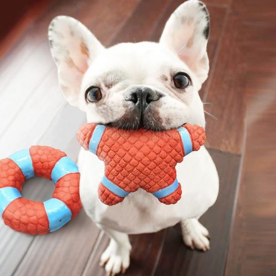 Star Chew French Bulldog Toy