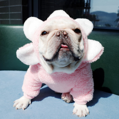 french bulldog flower hoodie pink