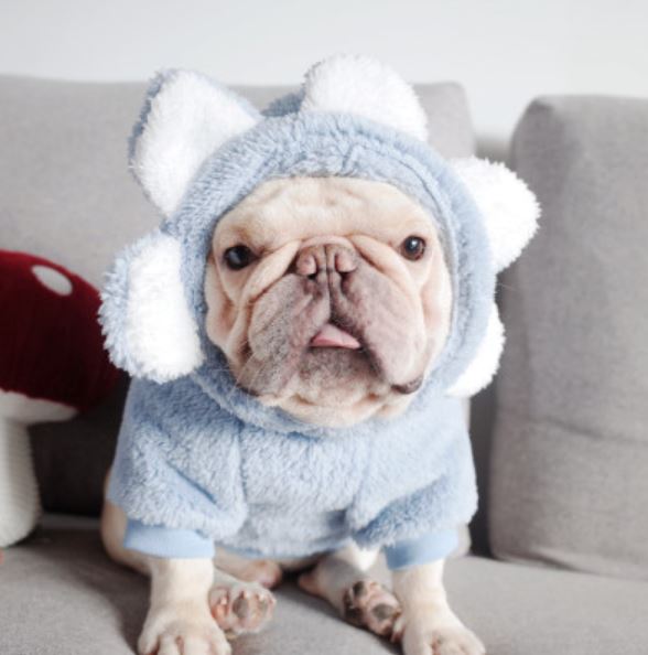 french bulldog flower hoodie
