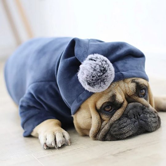 french-bulldog-winter-velour-hoodie