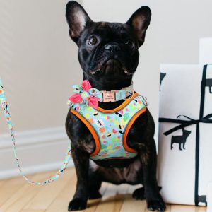 frenchiebulldog fruit harness