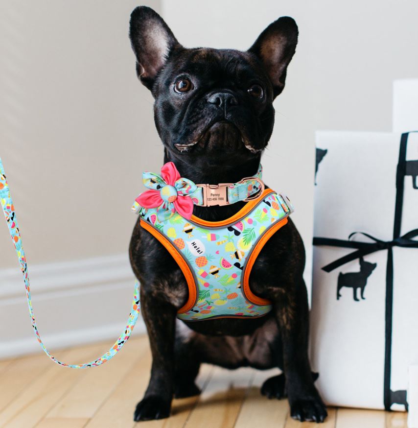 frenchiebulldog fruit harness