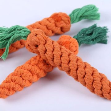 orange carrot pets toy