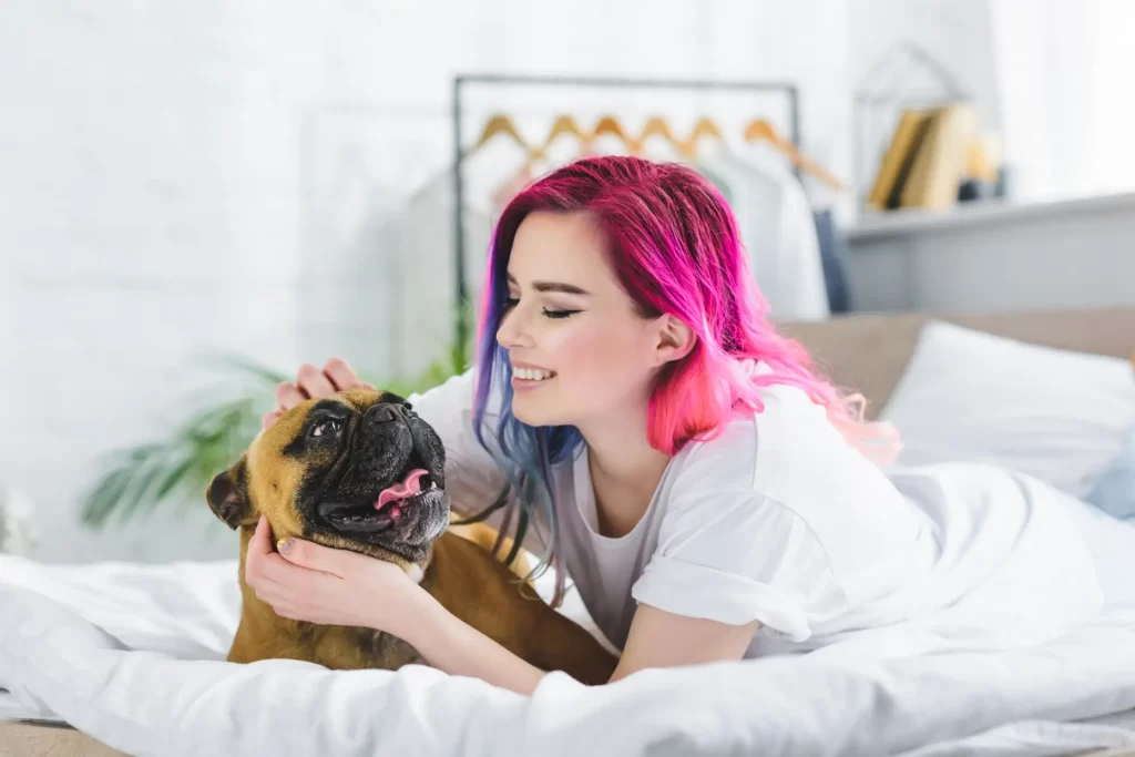 What to Expect After Your French Bulldog Is Neutered